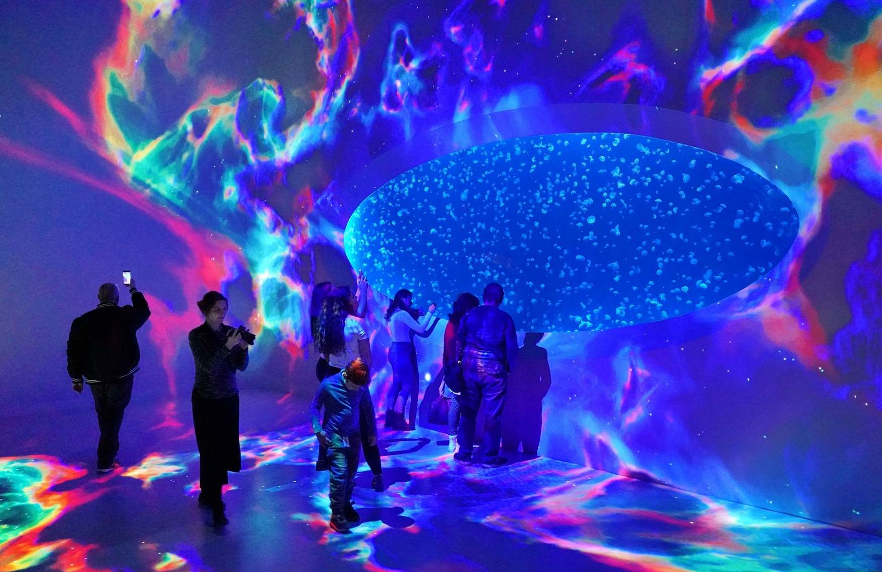 The World of Jellyfish photo 1