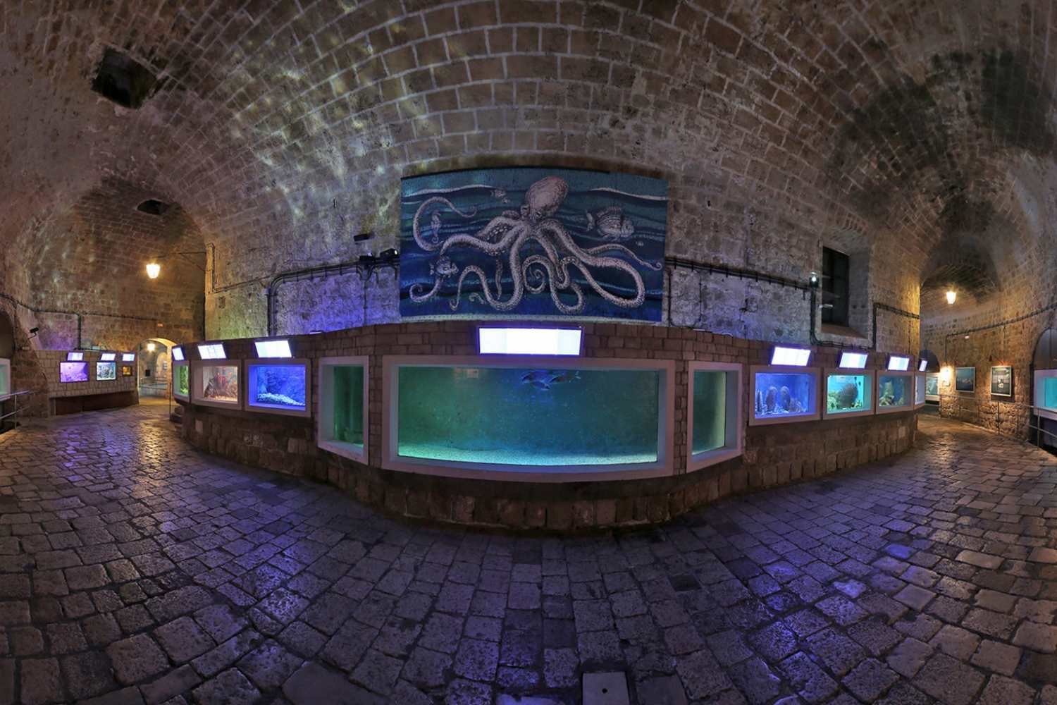 Музей Ракушек фото 1