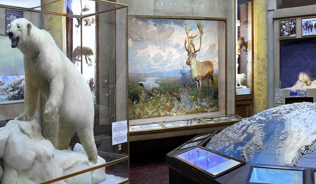 Музей Арктики и Антарктики в Санкт-Петербурге фото 1