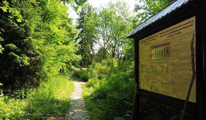 Музей Природы фото 1