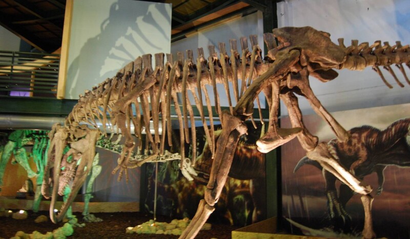 Музей Естественной Истории Крита