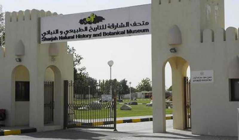 Музей Естественной Истории Шарджи