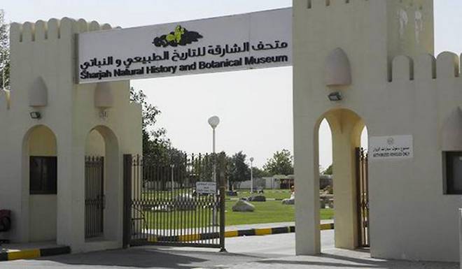 Музей Естественной Истории Шарджи фото 1