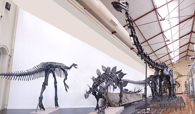 National Museum of Natural Sciences photo 1