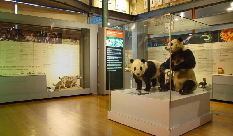Национальный Музей Естественных Наук в Мадриде