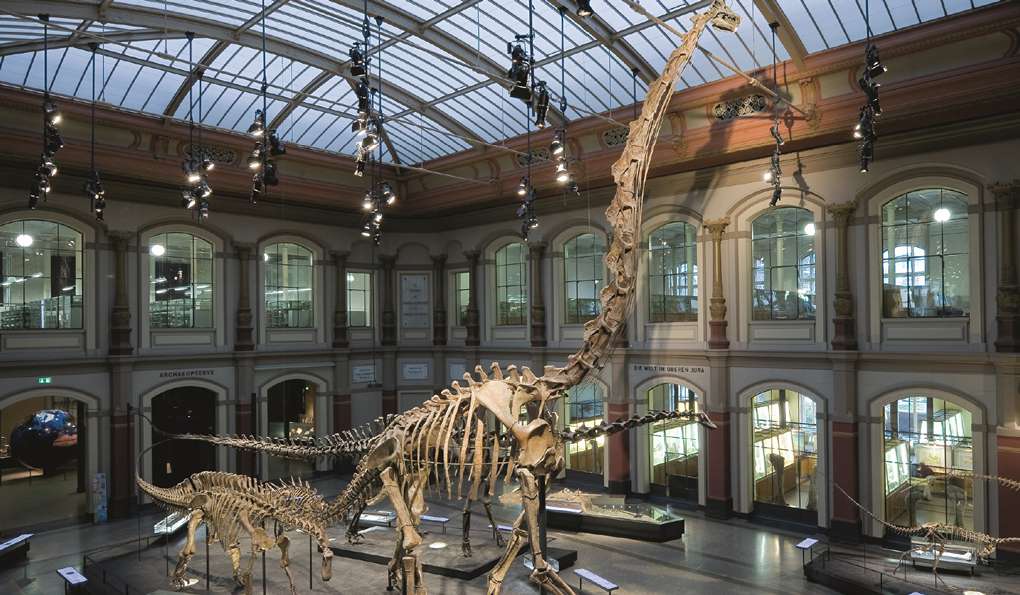 Музей Естествознания в Берлине фото 1