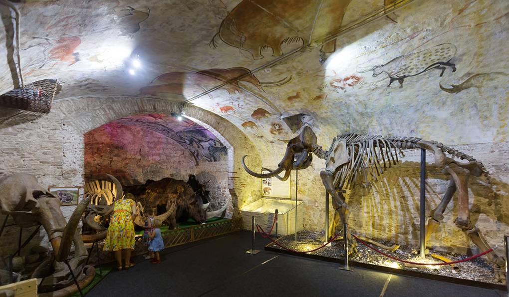 Музей Мамонта (ЗАКРЫТ) фото 1