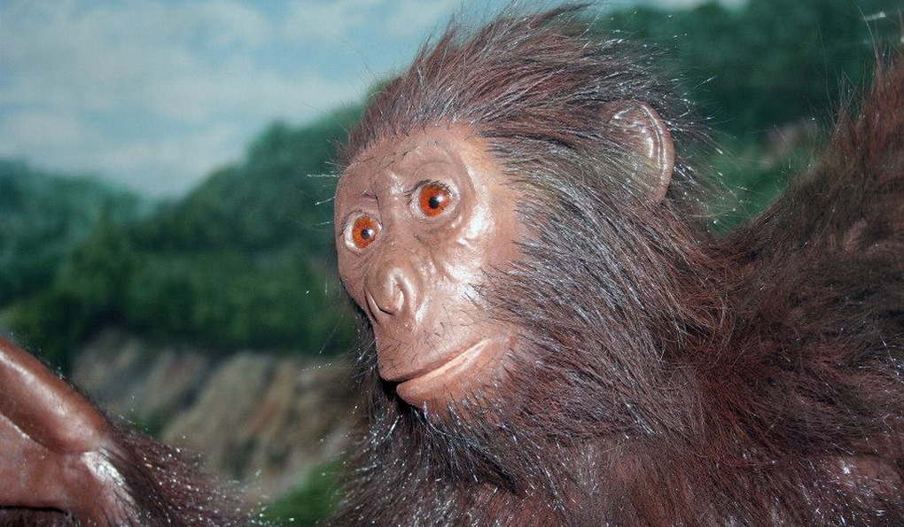 Музей Паннонского моря фото 1