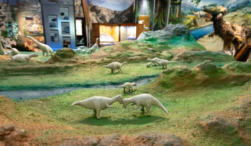 Музей Паннонского моря