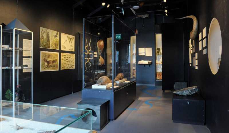 Музей Природы Центральной Финляндии и Ботанический Сад в Ювяскюля