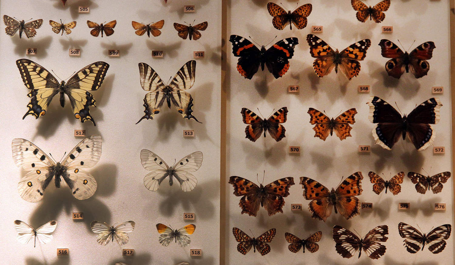 Музей Природы Урала фото 1