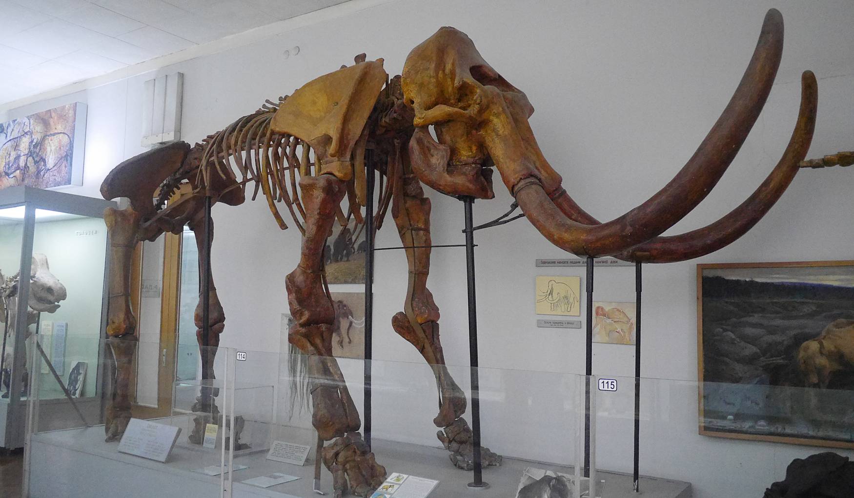 Музей Природы в Киеве фото 1