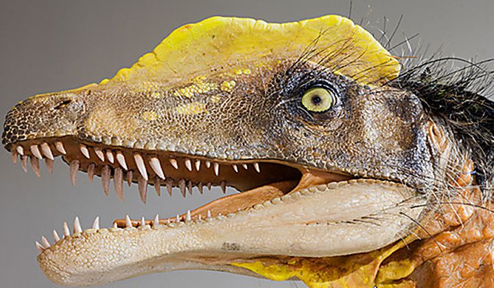 Музей Природы фото 1