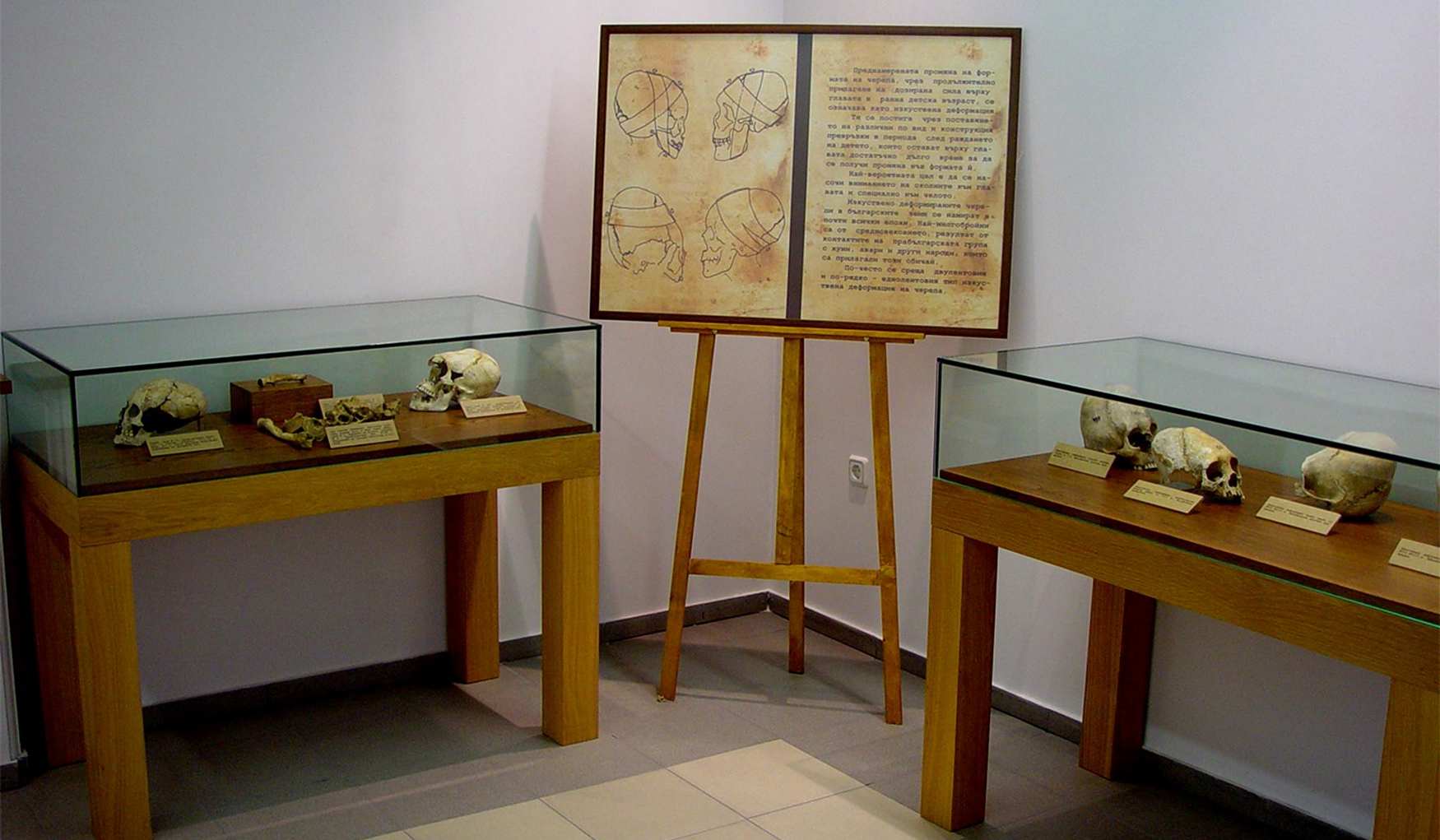 Национальный Антропологический Музей Софии фото 1
