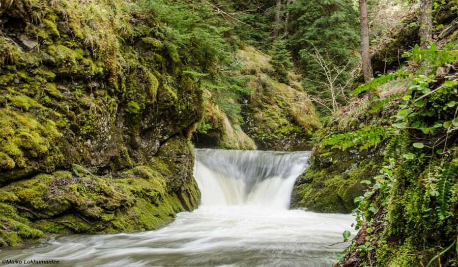 Национальный Парк Боржоми-Харагаули фото 1