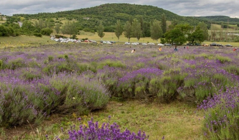 Национальный Парк Прибалатонской Возвышенности