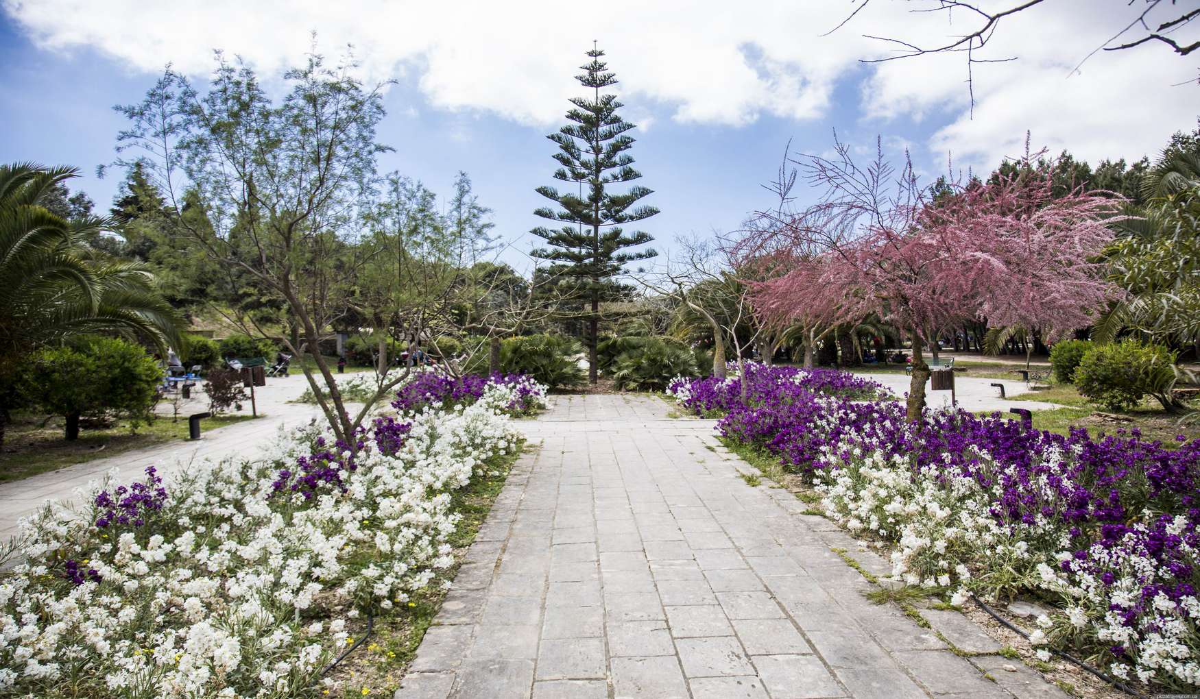 Национальный Парк Та-Кали фото 1