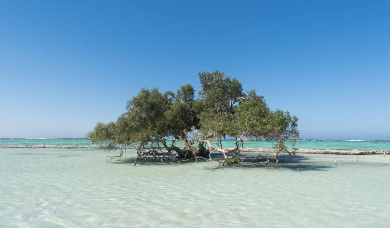 Национальный парк Вади-Эль-Гималь