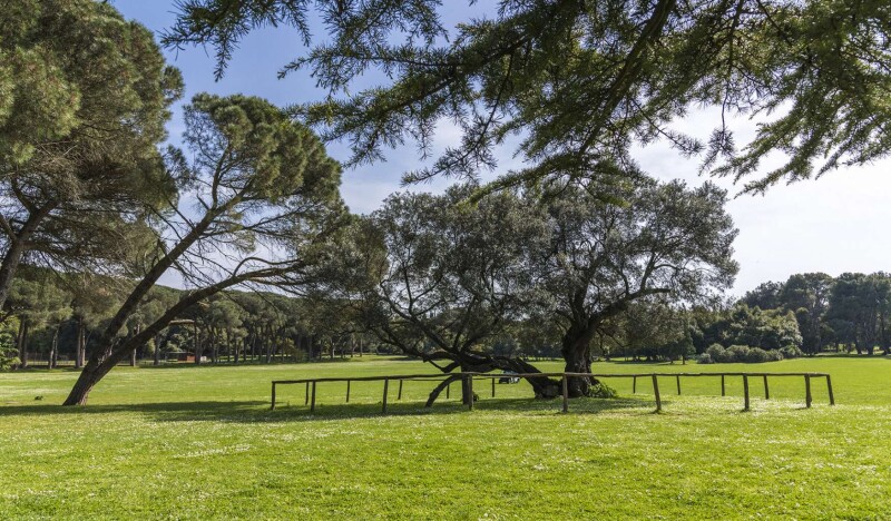 Национальный Парк Бриони