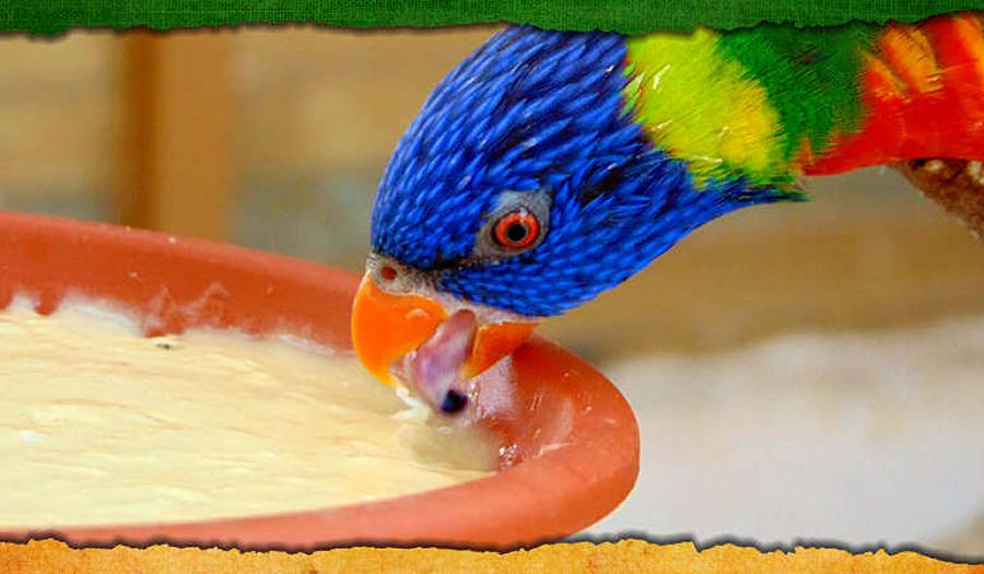 Reserva Park фото 1