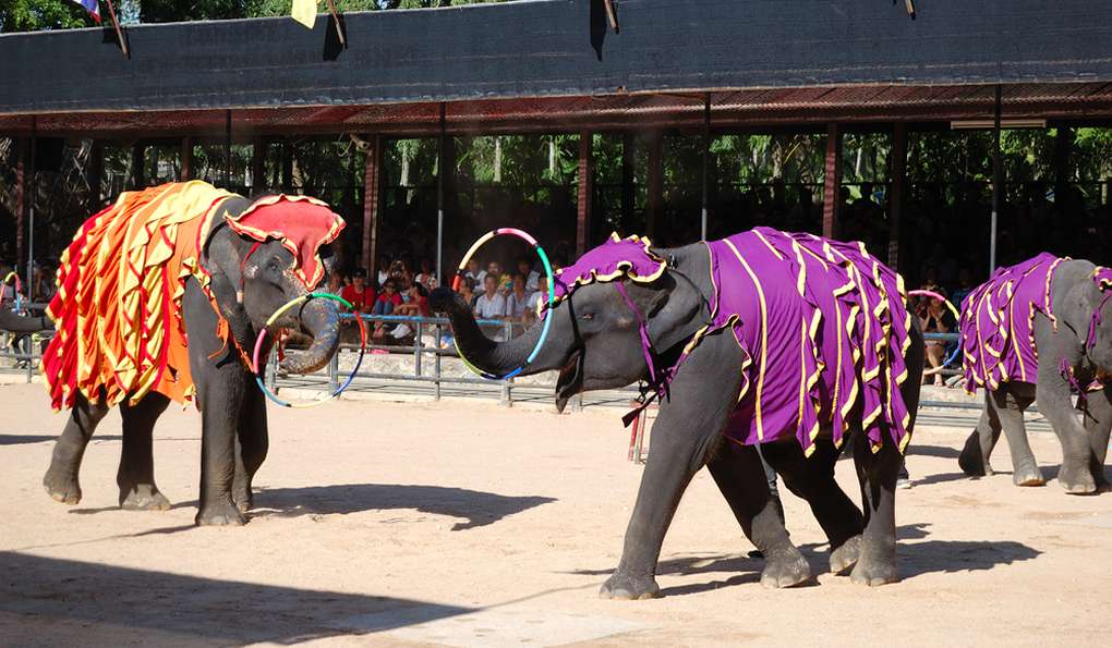 Парк Миллионолетних Камней и Крокодиловая Ферма фото 1