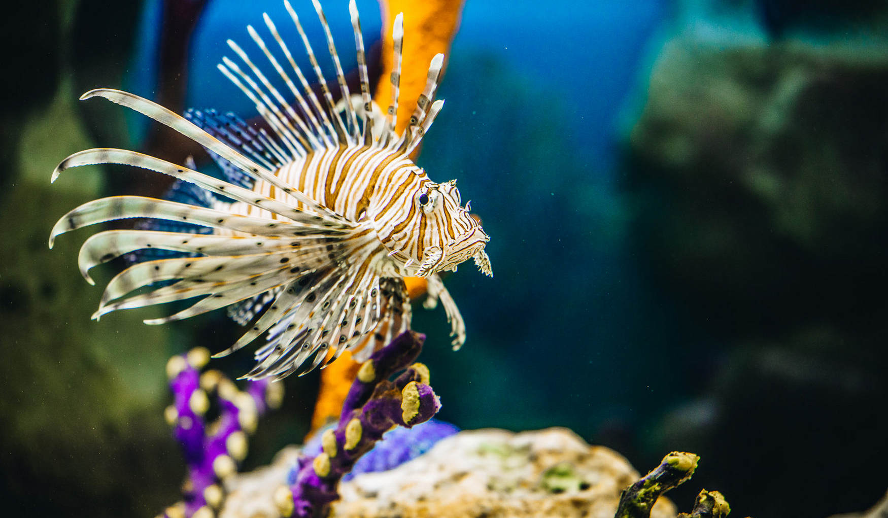 Океанариум Екатеринбурга фото 1