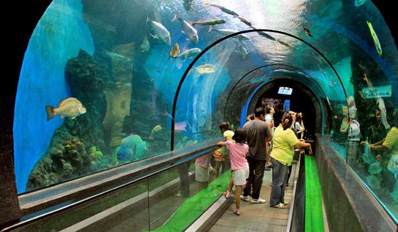 Океанариум Пхукета фото 1