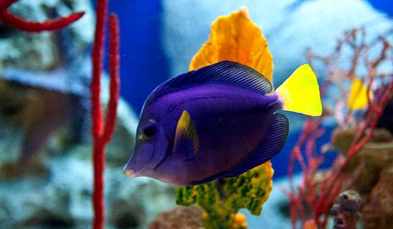 Океанариум Тайны Океана