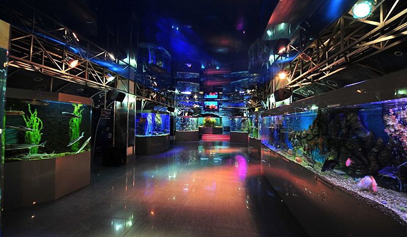 Океанариум в Геленджике фото 1