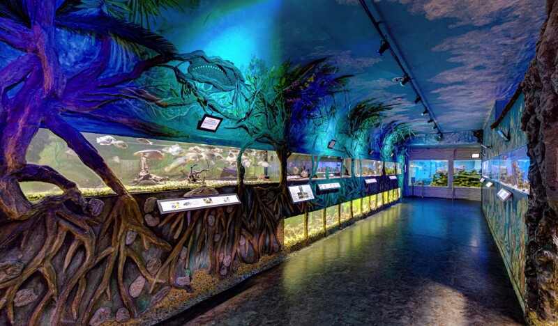 Океанариум в Праге