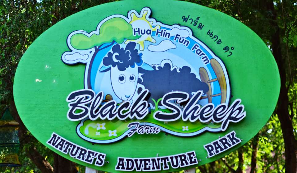 Питомник Слонов Hutsadin фото 1