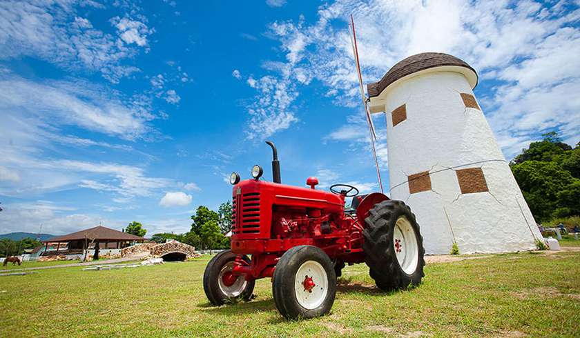 Овечья Ферма Swiss Sheep Farm в Ча-Аме фото 1