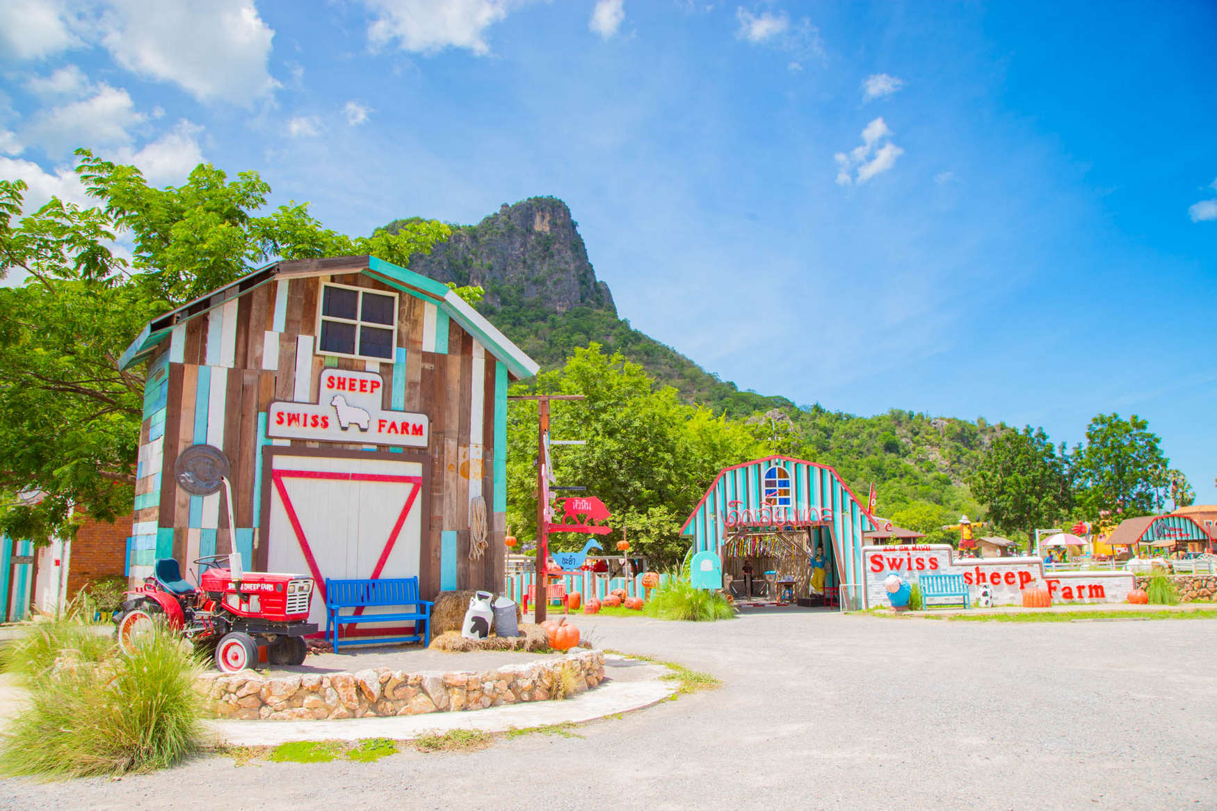 Овечья Ферма Swiss Sheep Farm в Ча-Аме