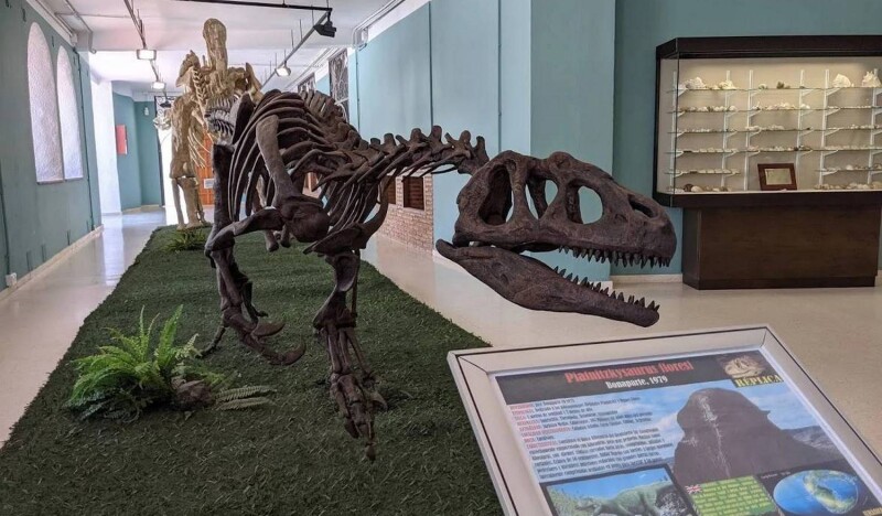 Палеонтологический Музей Эстепоны