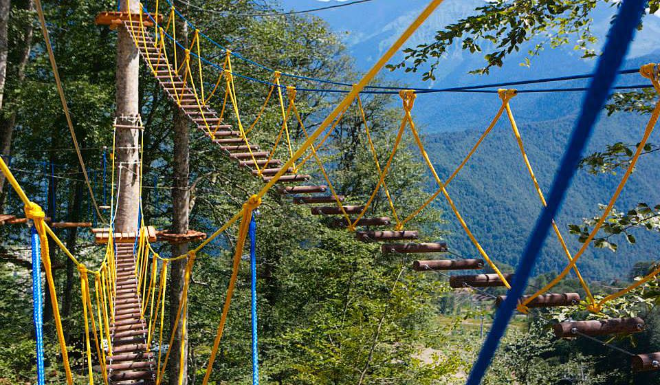 Панда Парк фото 1