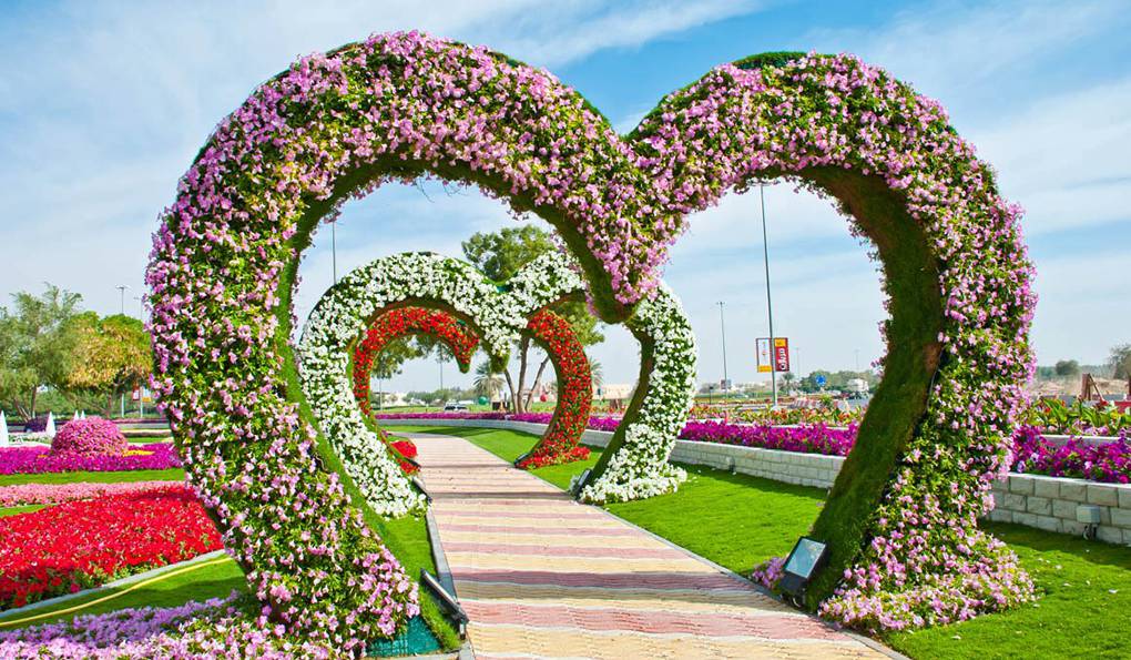 Парк Al Ain Paradise (ЗАКРЫТ) фото 1