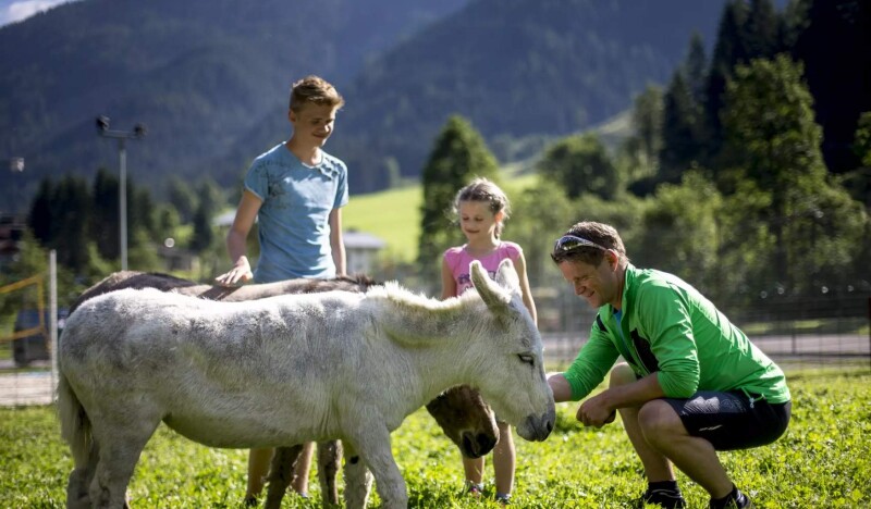 Парк Дикой Природы Untertauern
