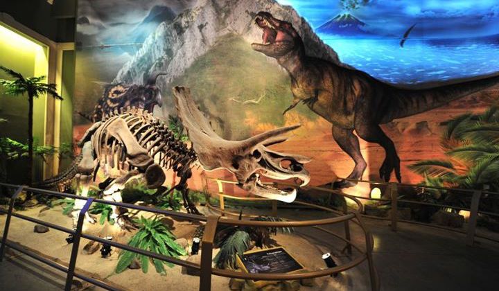 Парк Динозавров Jurassic Land (ЗАКРЫТ) фото 1