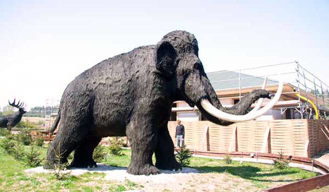 Dino Park and Zoo Germendorf photo 1