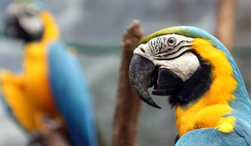 Xanadu Shopping Mall and Entertainment Center фото 1