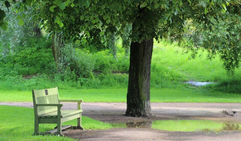 Парк Кайвопуйсто