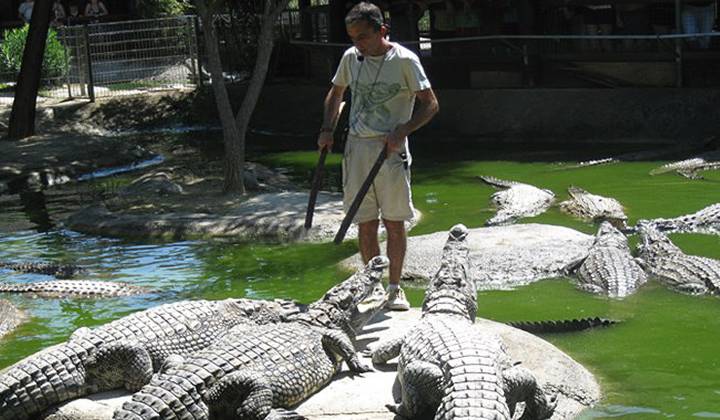 Crocodile Park Torremolinos photo 1