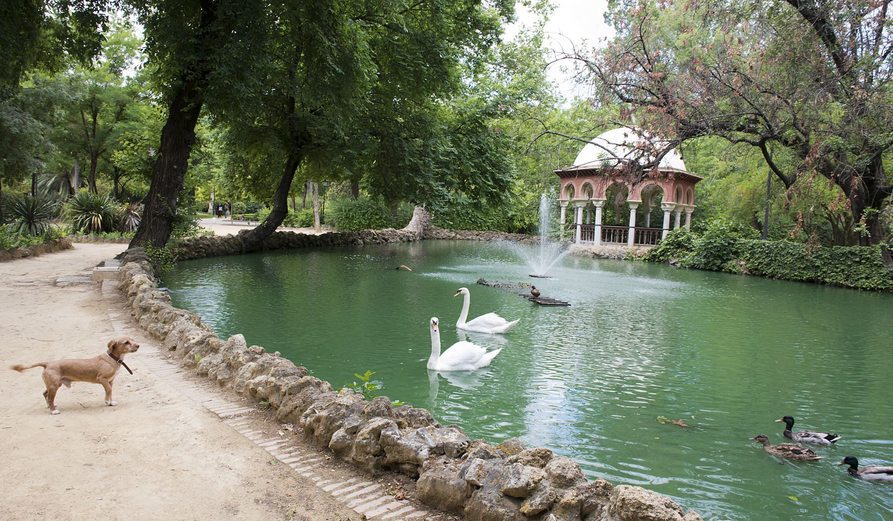 Murillo Gardens фото 1