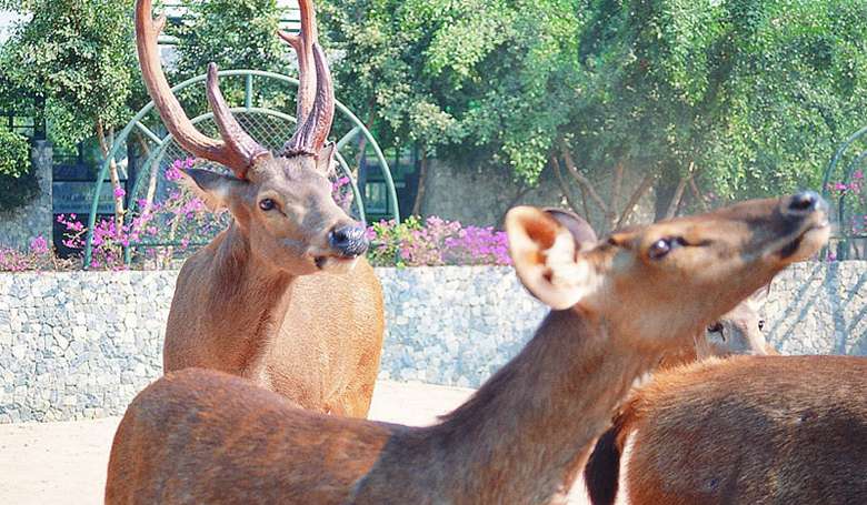Парк Миллионолетних Камней и Крокодиловая Ферма фото 1