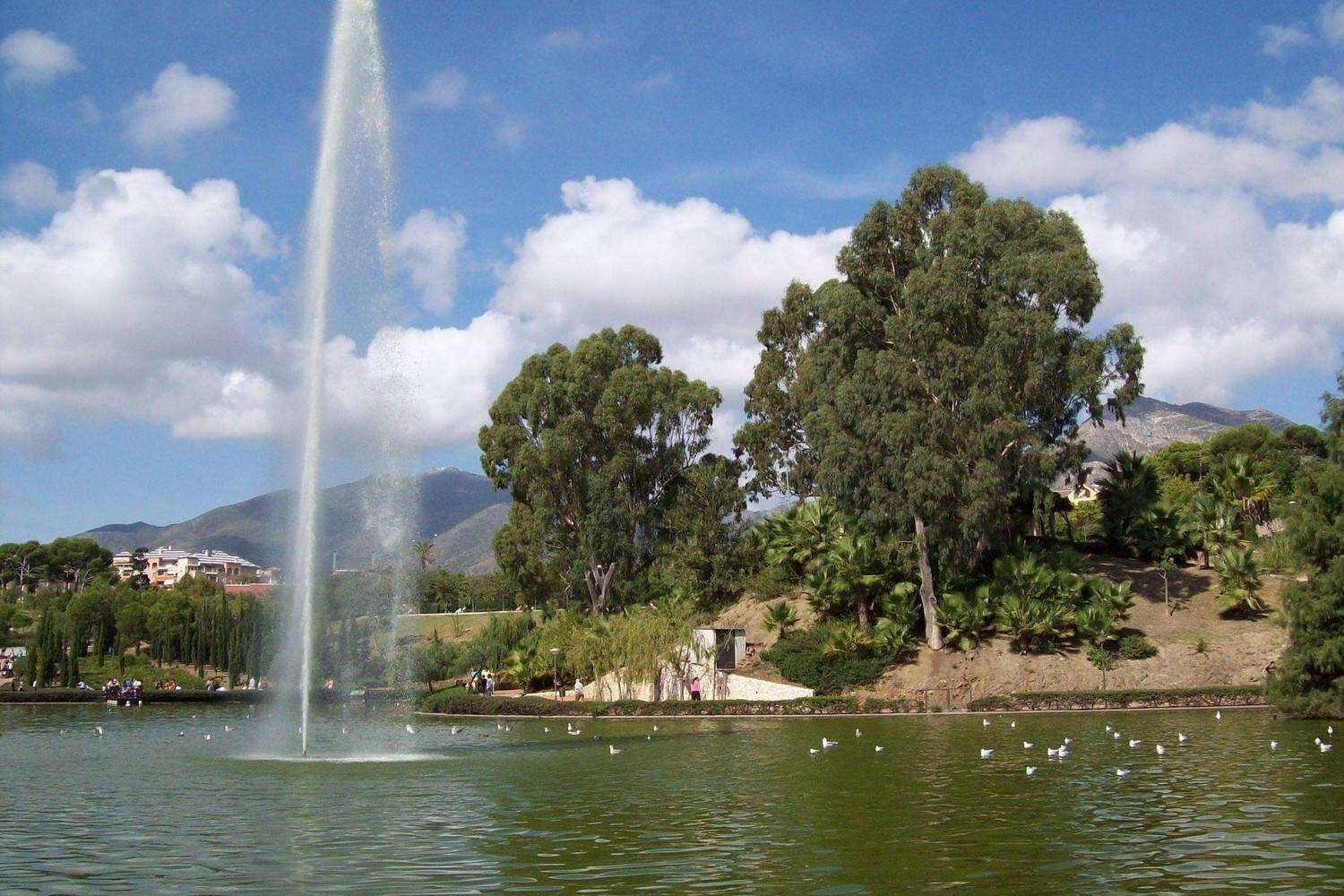 Paloma Park