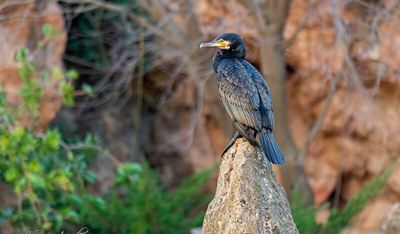 Парк Сама (Parc Sama)