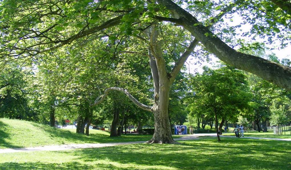 Парк Варошлигет фото 1