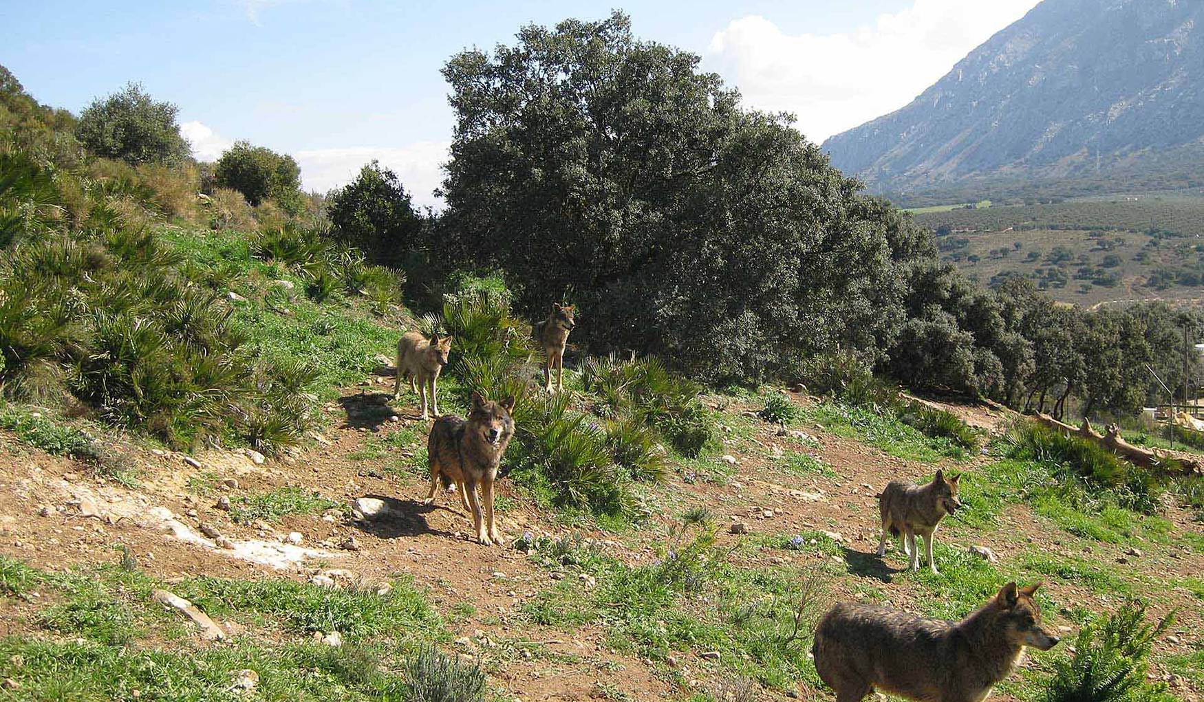 Reservatauro Ronda фото 1