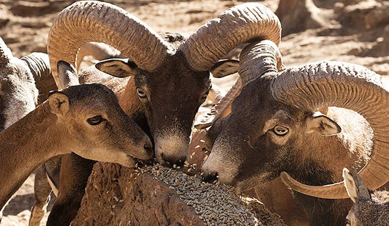 Reserva Park photo 1