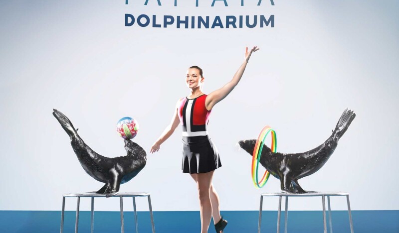 Pattaya Dolphinarium